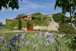 Mas de Lavit · Pic Saint-Loup — photo 11